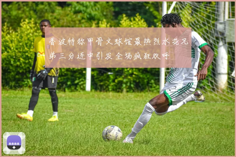 香波特称甲骨文球馆最热烈水花兄弟三分连中引发全场疯狂欢呼